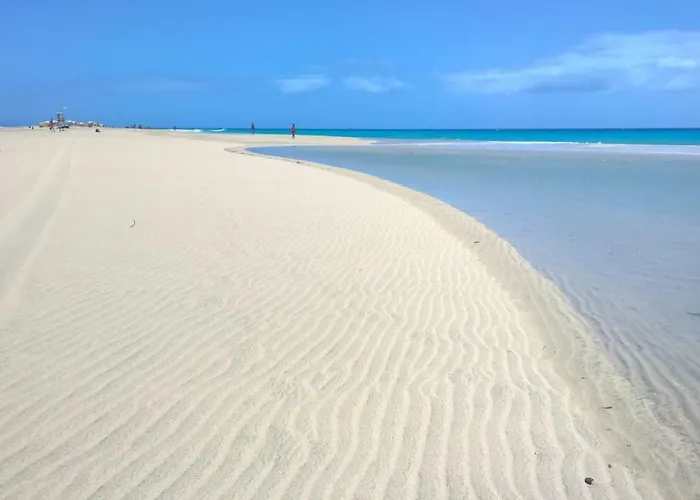 Your Ocean Eyes דירה