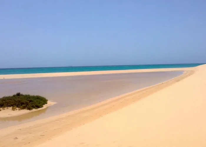 Your Ocean Eyes דירה